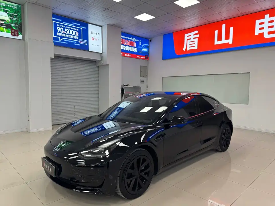 Tesla Model 3 (Import) Long Range All-Wheel Drive Edition 2019