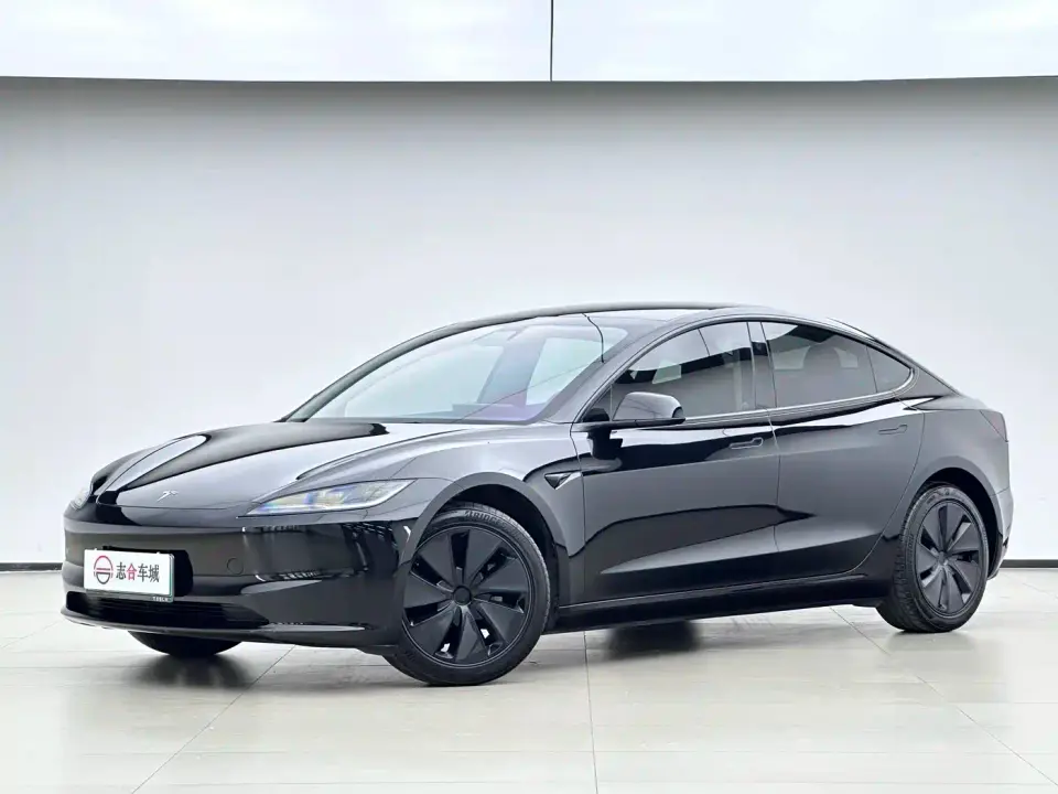 Tesla Model 3 Model Rear-Wheel Drive Edition 2025