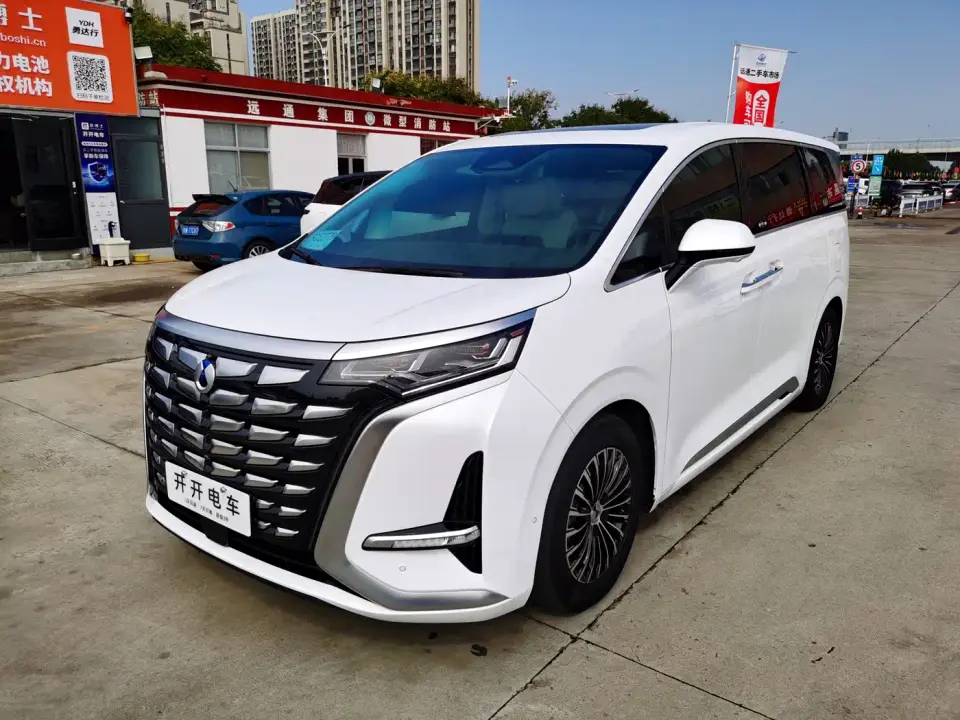 Denza D9 DM-i 980 AWD Flagship 2024