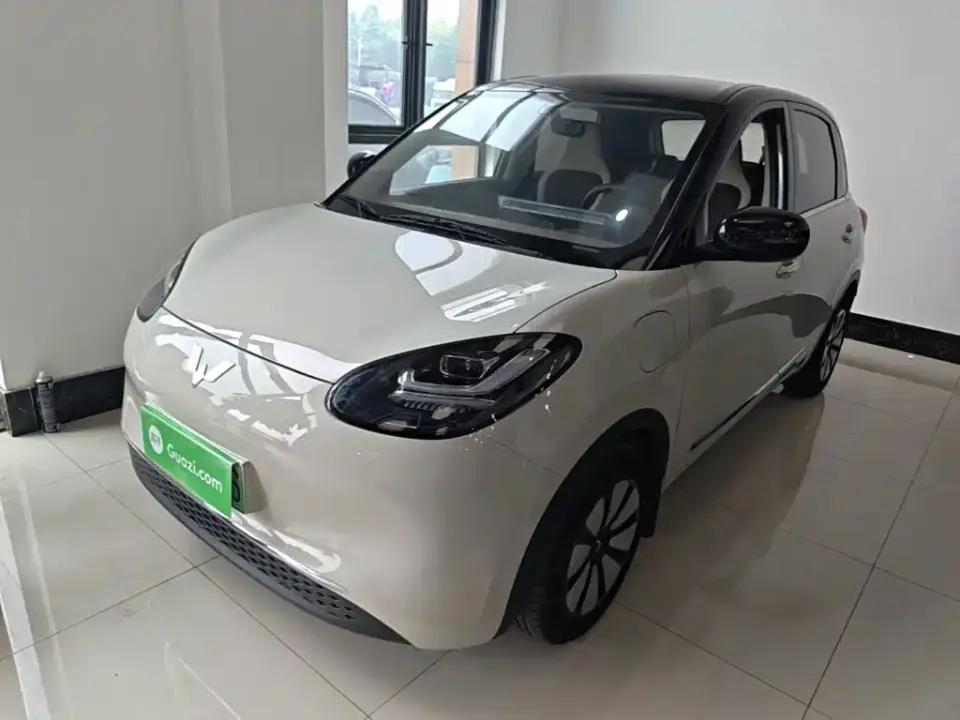 Wuling Motors Wuling Bingo 333km Comfort Edition 2024