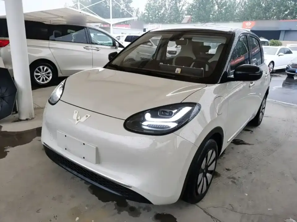Wuling Motors Wuling Bingo Model 333km Telepathic Connect+ Version 2023