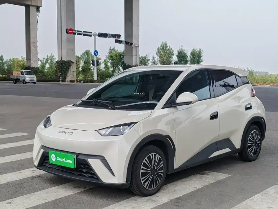 BYD Seagull 305km Vitality 2024