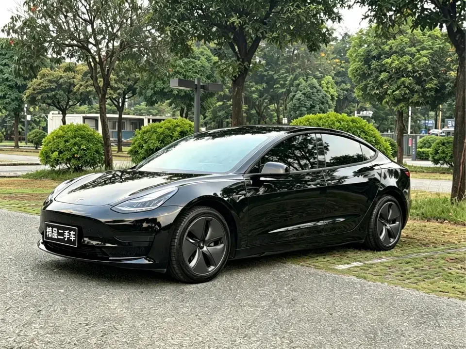 Tesla Model 3 Facelift Standard Range RWD Upgrade 3D1 2021