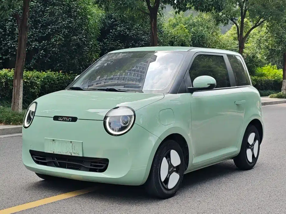 Changan Qiyuan Changan Lumin 210km Sweet Edition 2022