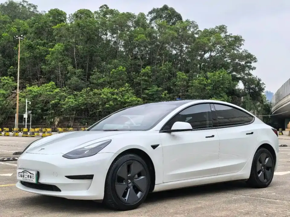 Tesla Model 3 Model Rear-Wheel Drive Version 2022