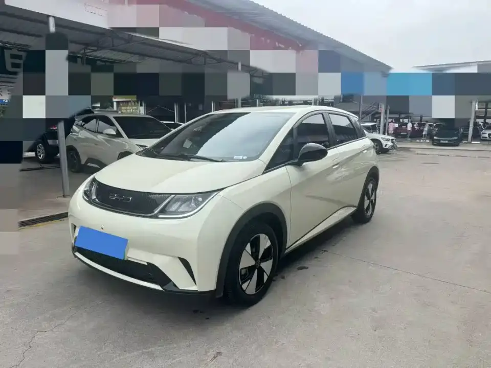 BYD Dolphin 420km Freedom Edition 2024