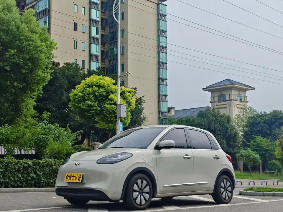 Wuling Motors Wuling Bingo 333km Joyful Version 2023