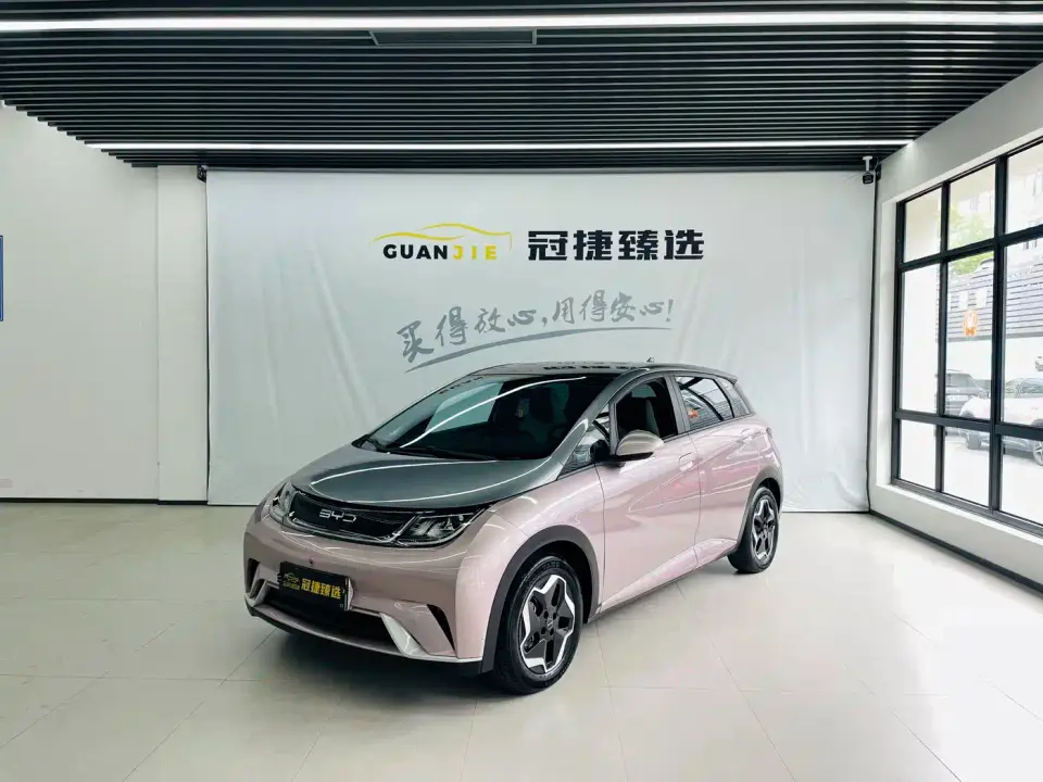 BYD Dolphin Model 405km Fashion Edition 2022