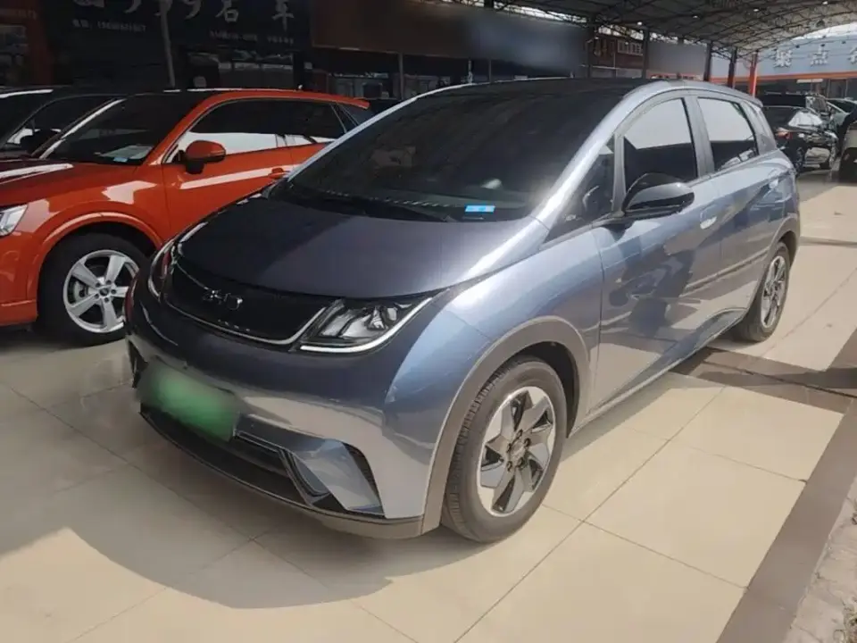 BYD Dolphin Glory Edition 420km Fashion Edition 2024