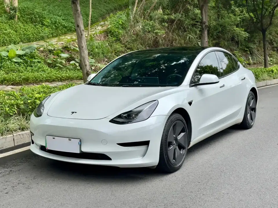 Tesla Model 3 Model Rear-Wheel Drive Version 2022