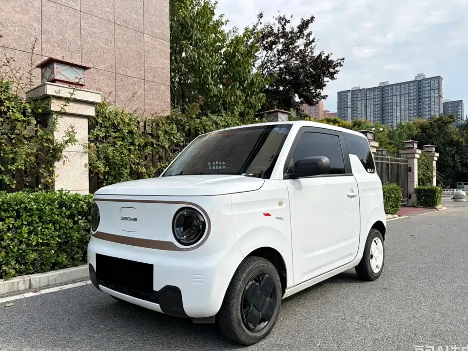 Geely Galaxy Panda 200km Panda Kart 2024