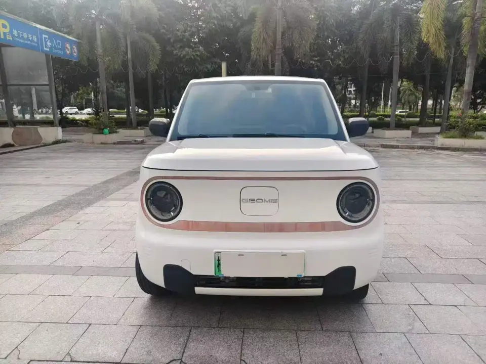 Geely Galaxy Panda Panda Mini 200km Lively Bear 2023