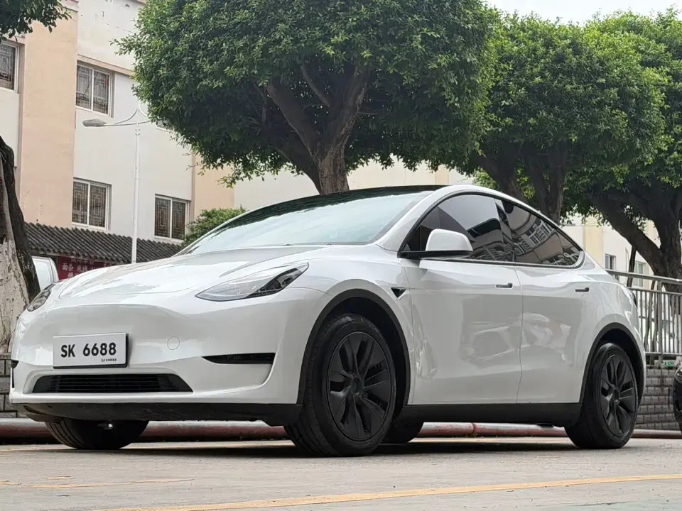 Tesla Model Y Rear-Wheel Drive Version 2024