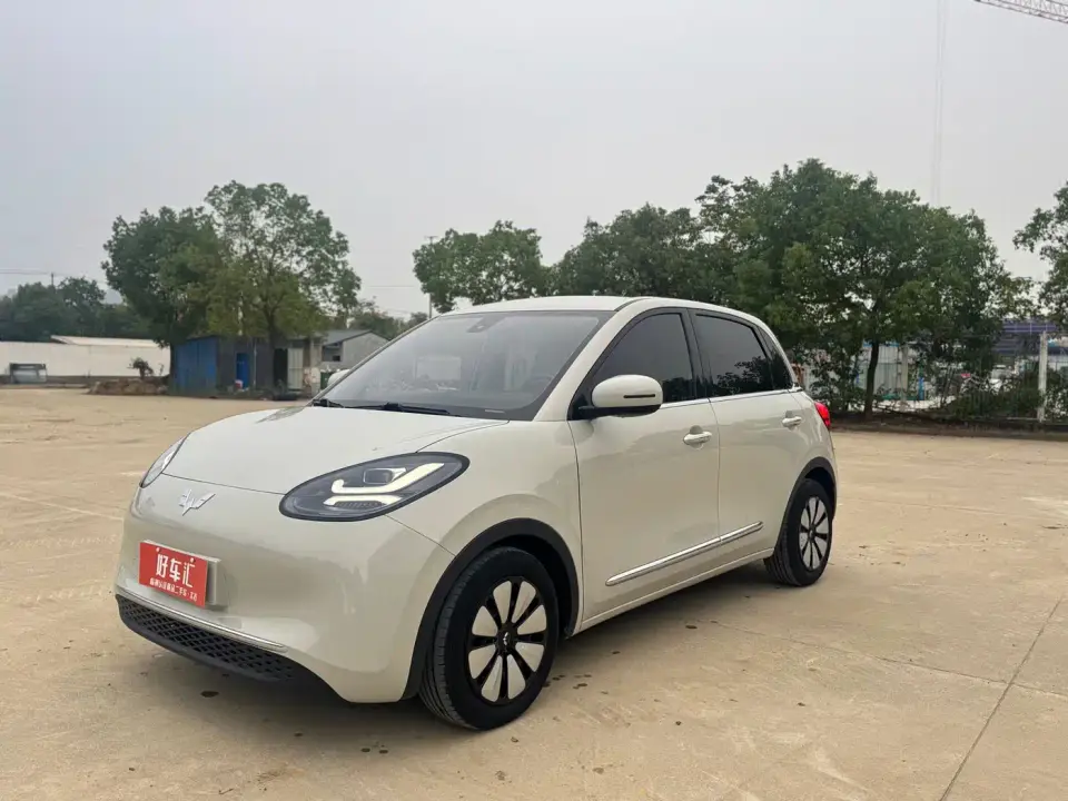 Wuling Motors Wuling Bingo 203km Comfort Version 2023