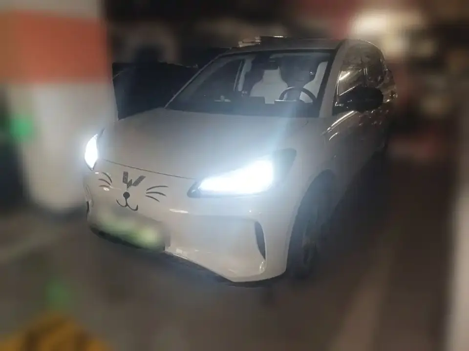 Wuling Motors Wuling Binguo PLUS Model 330km 5-Seater 2025