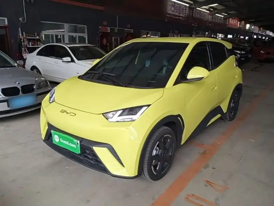 BYD Seagull Freedom Edition 2024