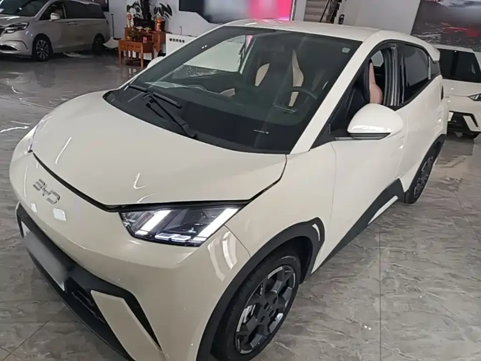 BYD Seagull 305km Freedom 2025