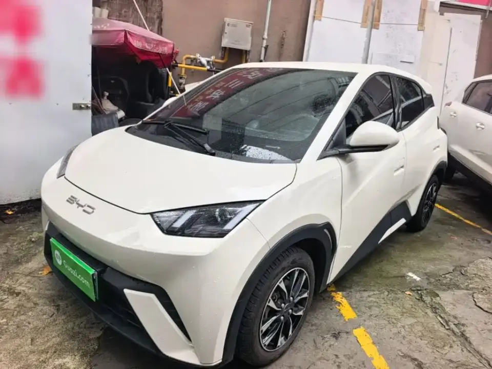 BYD Seagull Glory Edition 305km Vitality Edition 2024