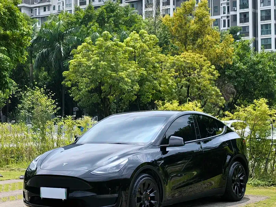 Tesla Model Y Standard Range Rear-Wheel Drive 2021