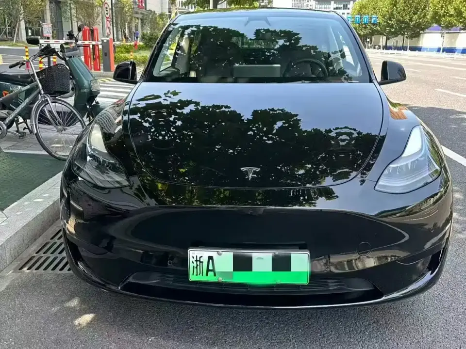 Tesla Model Y Rear-Wheel Drive Version 2022