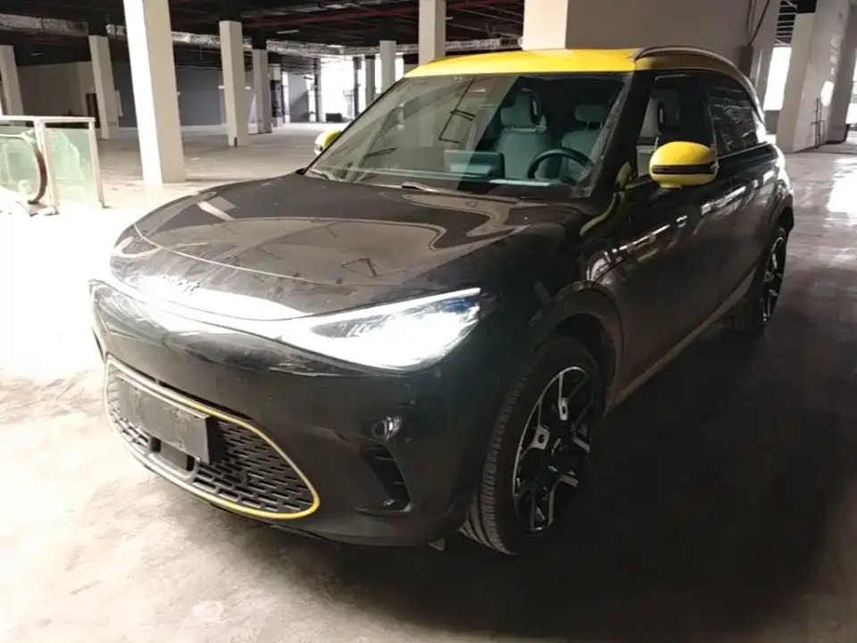 Smart Elf #1 Model Pro Edition 2023