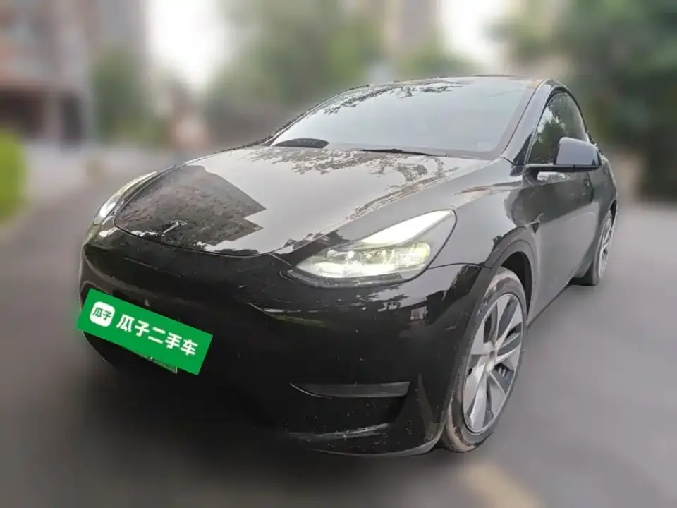 Tesla Model Y Standard Range Rear-Wheel Drive 2021
