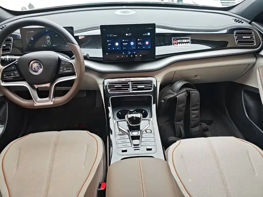 BYD Qin PLUS Glory Edition EV 510KM Leading 2024 — фото 9