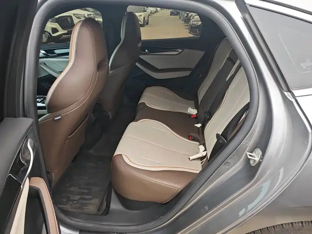 BYD Qin PLUS Glory Edition EV 510KM Leading 2024 — фото 13