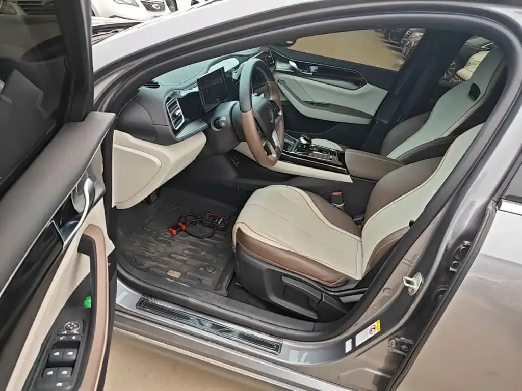 BYD Qin PLUS Glory Edition EV 510KM Leading 2024 — фото 12