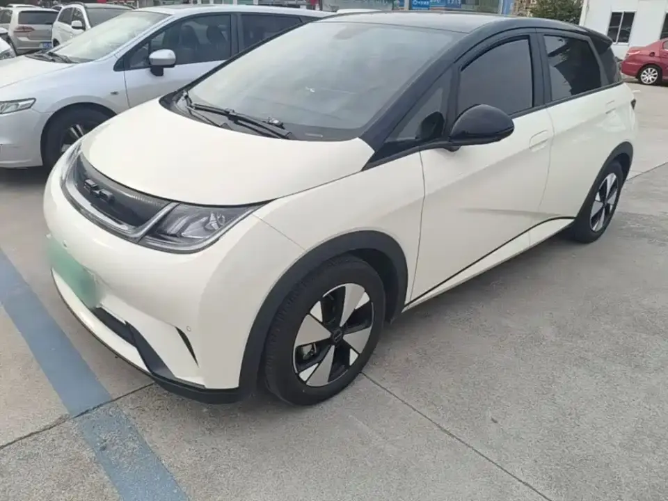 BYD Dolphin 500,000 Commemorative Edition Pro 2023