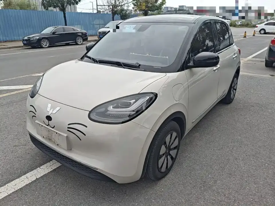 Wuling Motors Wuling Bingo 410km Lingxi Premium Edition 2024