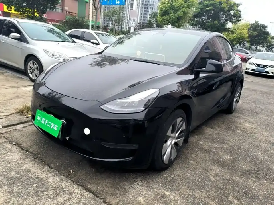 Tesla Model Y Standard Range Rear-Wheel Drive 2021