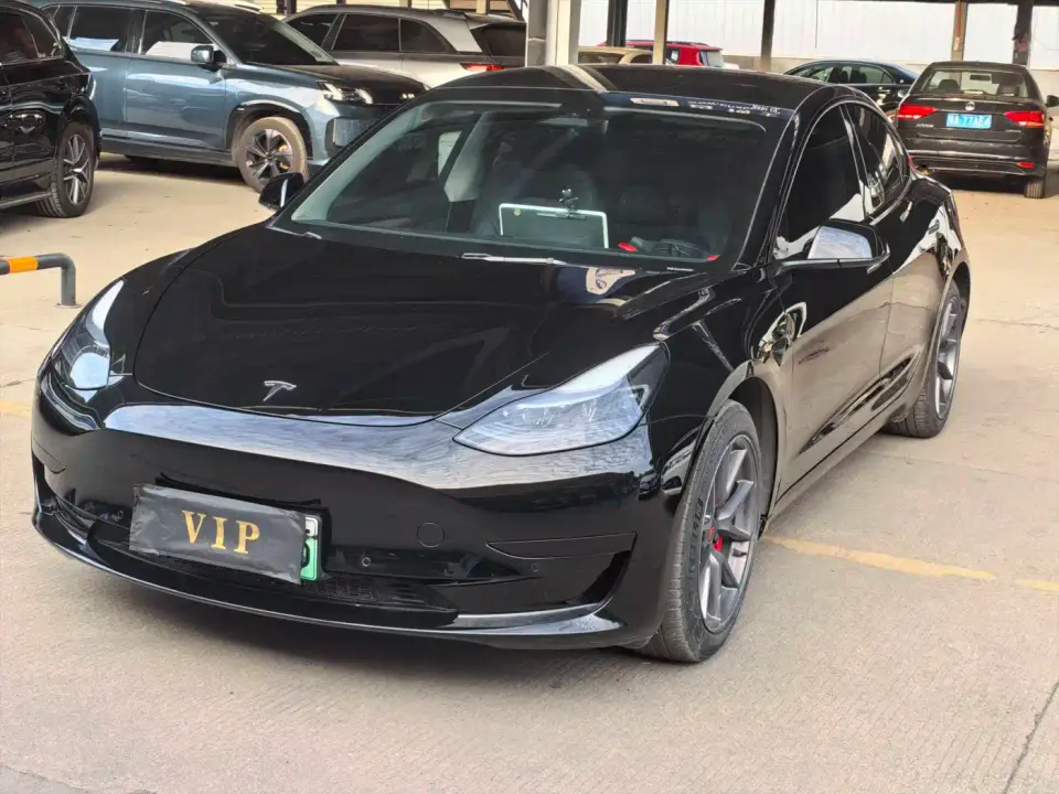 Tesla Model 3 Model Rear-Wheel Drive Version 2023