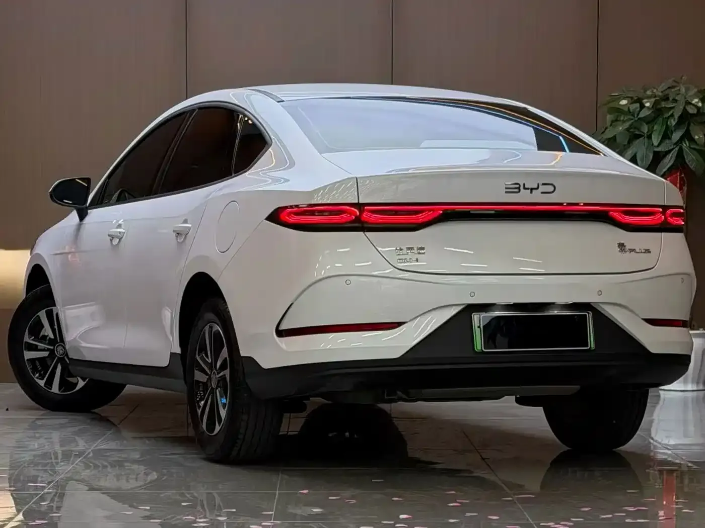 BYD Qin PLUS DM-i Smart Edition 128KM Progressive 2026 — фото 4
