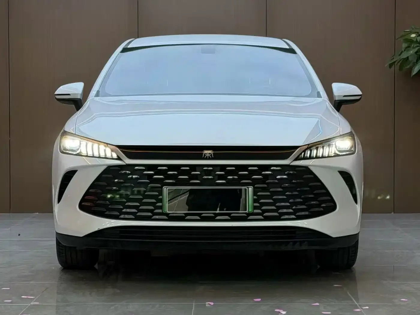 BYD Qin PLUS DM-i Smart Edition 128KM Progressive 2026 — фото 2