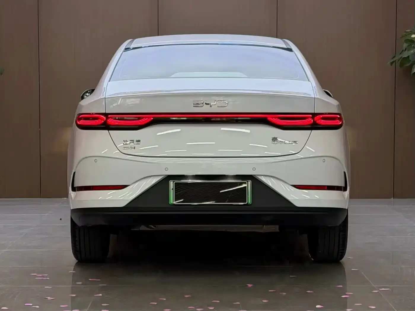 BYD Qin PLUS DM-i Smart Edition 128KM Progressive 2026 — фото 5