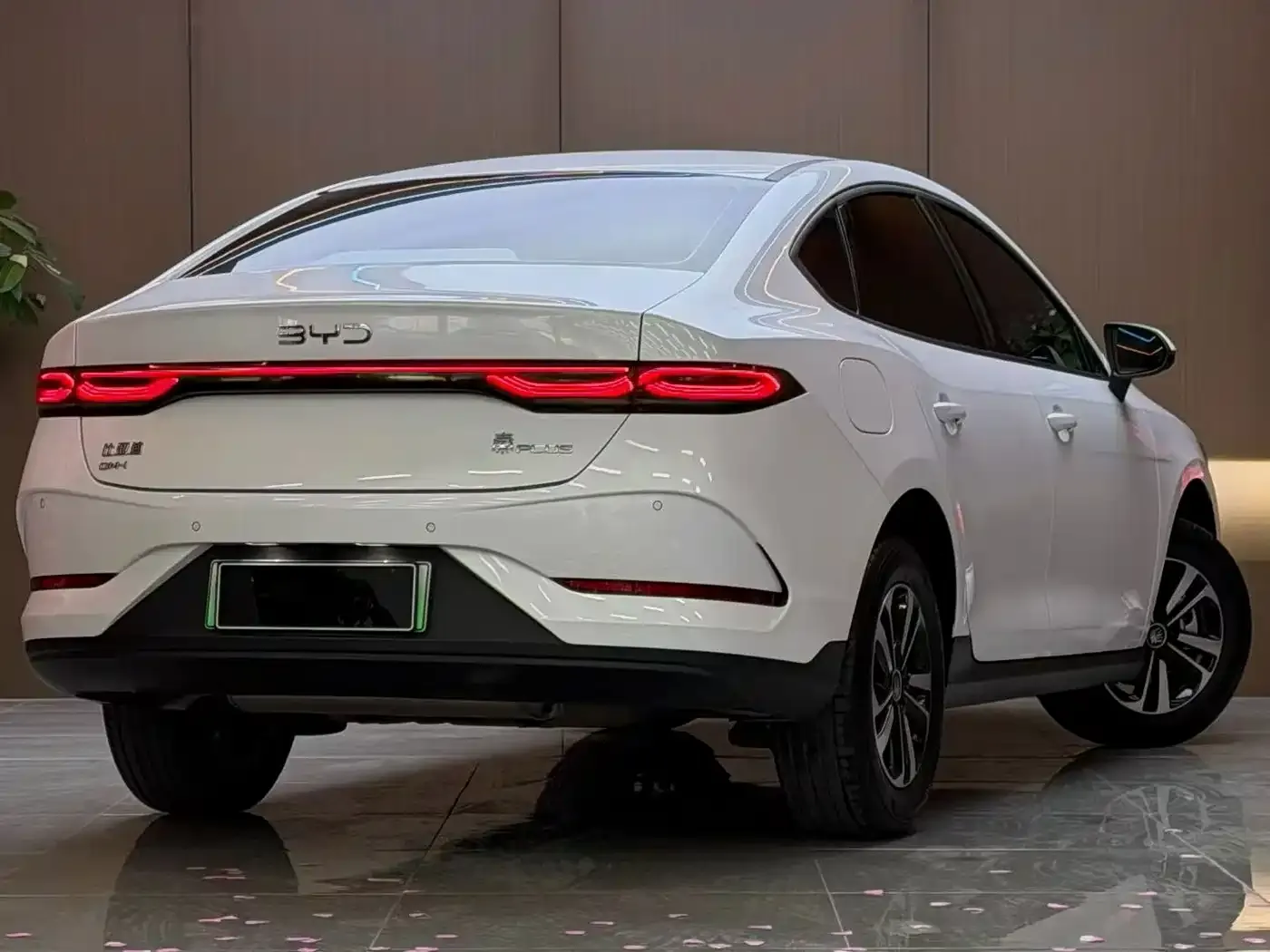 BYD Qin PLUS DM-i Smart Edition 128KM Progressive 2026 — фото 6