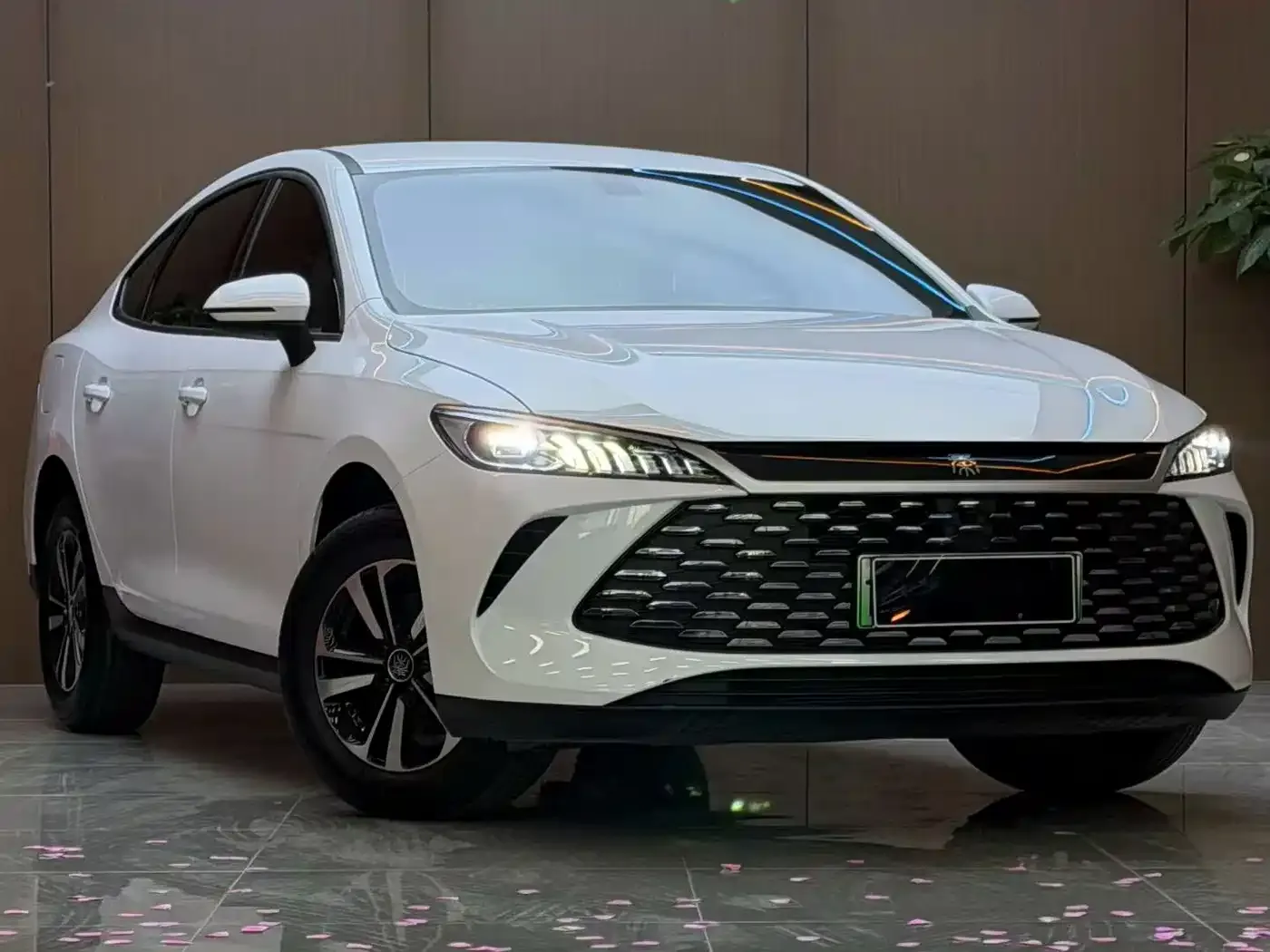 BYD Qin PLUS DM-i Smart Edition 128KM Progressive 2026 — фото 3