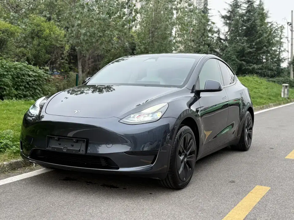 Tesla Model Y Rear-Wheel Drive Version 2024