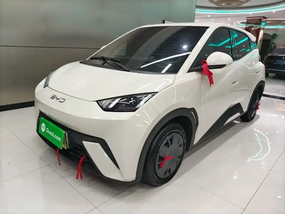 BYD Seagull Glory Edition 305km Vitality Edition 2024