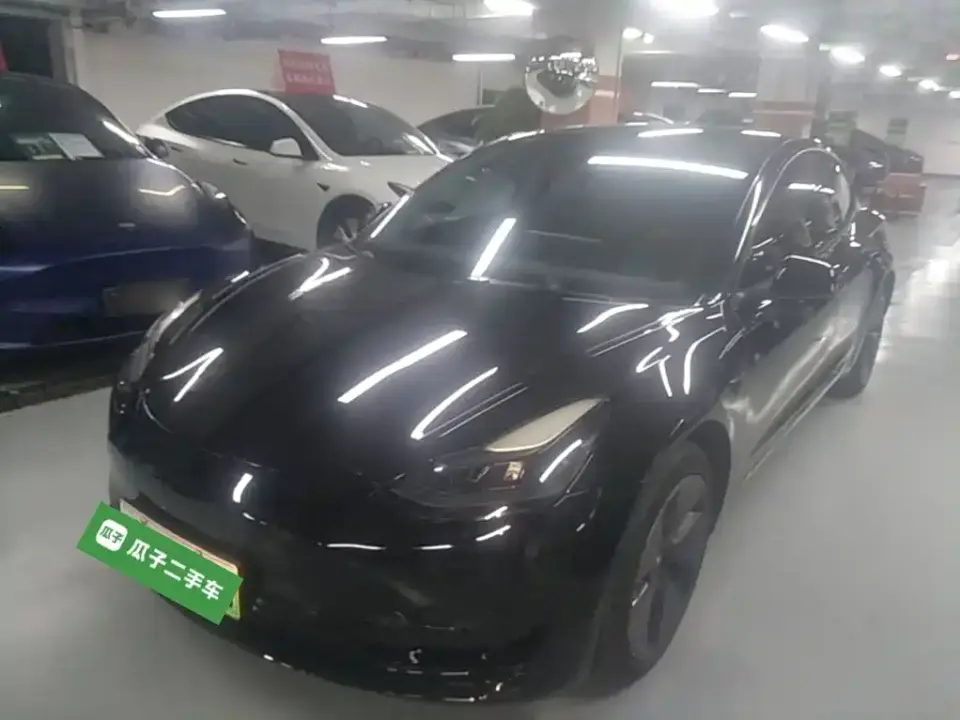 Tesla Model 3 Model Rear-Wheel Drive Version 2022