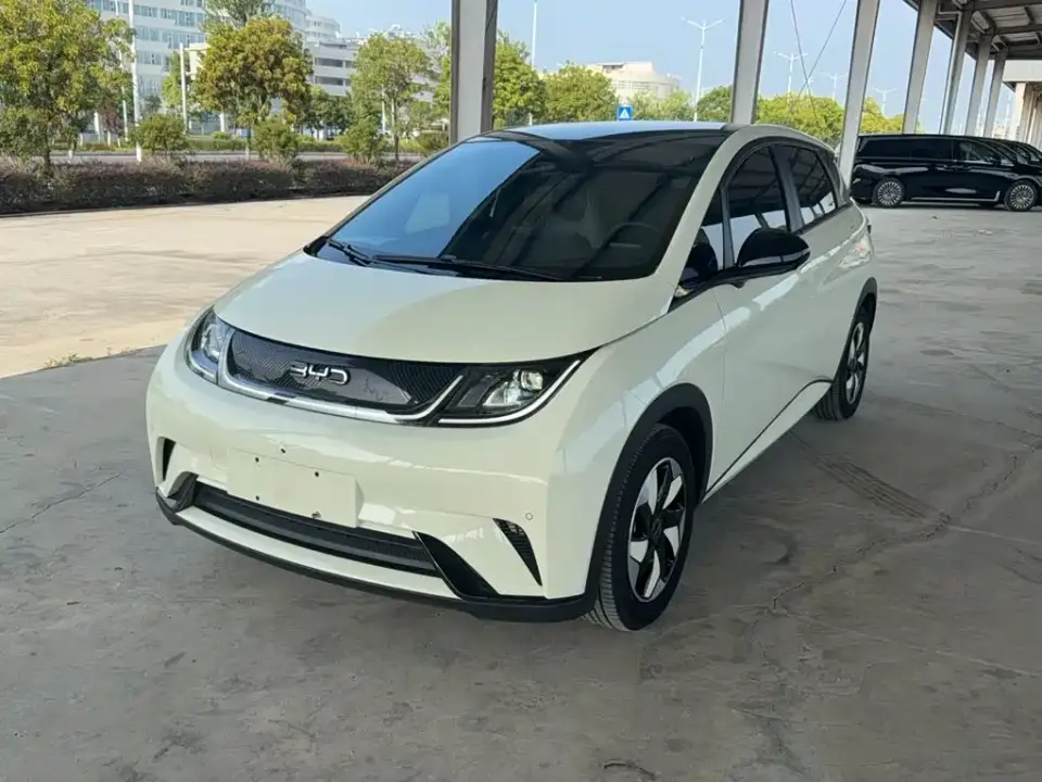BYD Dolphin Glory Edition 420km Fashion Edition 2024