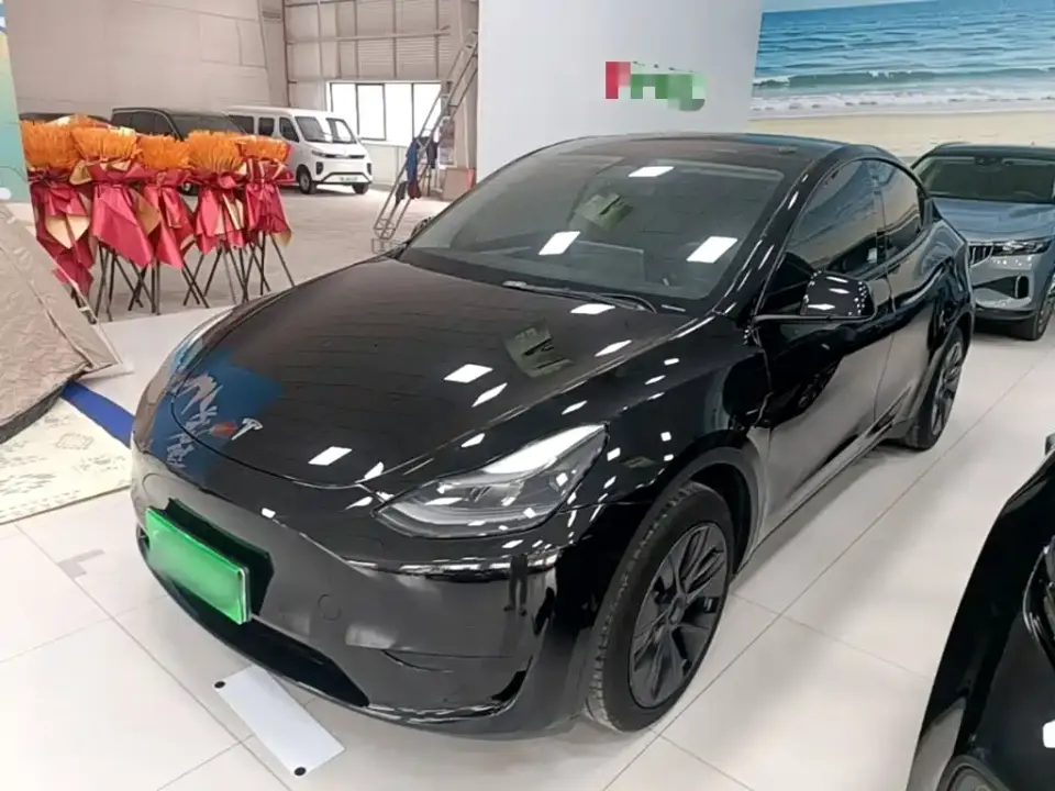 Tesla Model Y Rear-Wheel Drive Edition 2024