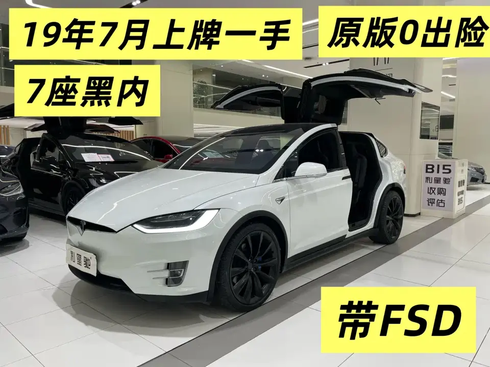 Tesla Model X Model X 100D Long Range 2019