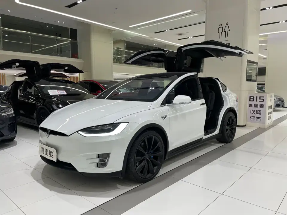 Tesla Model X Model X 100D Long Range 2019