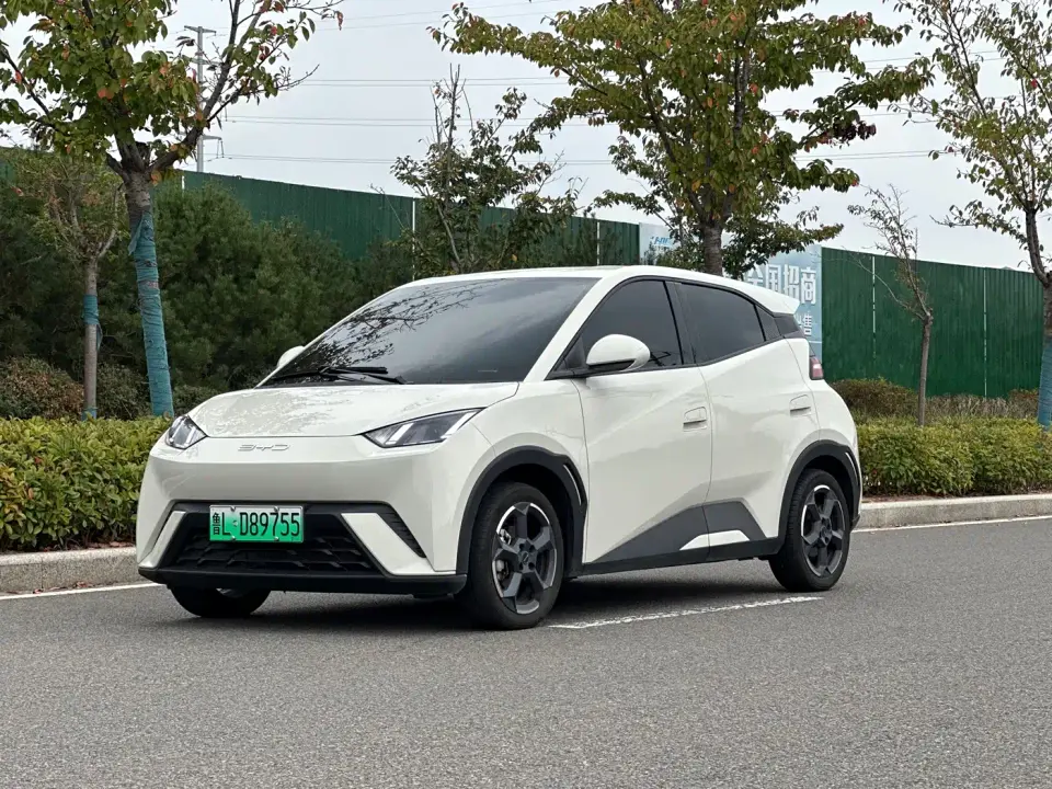BYD Seagull Freedom Edition 2023