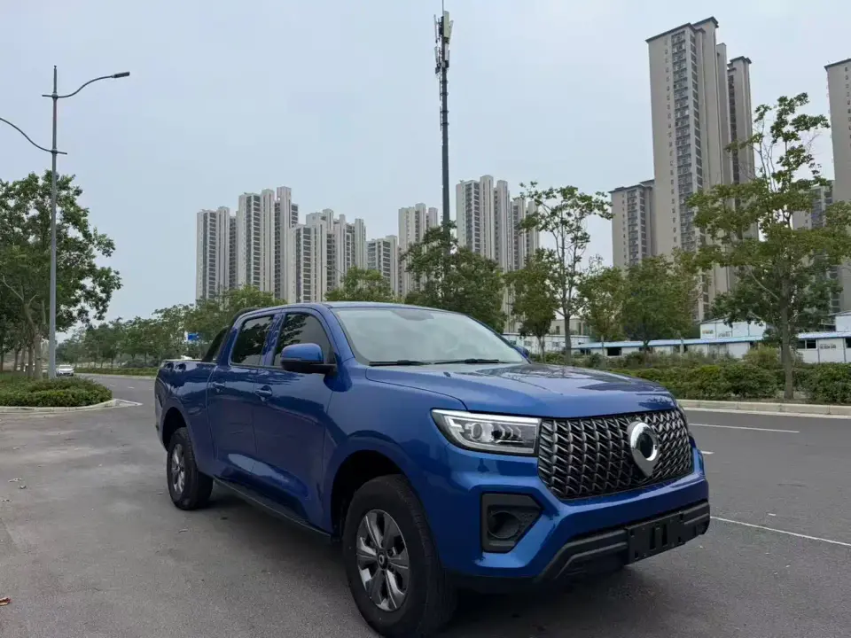 Great Wall Pao Model 2.4T Commercial Version Automatic Diesel 4WD Elite Type 2024