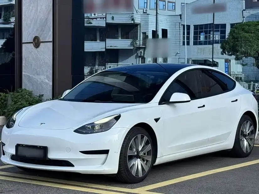Tesla Model 3 Model Rear-Wheel Drive Version 2022