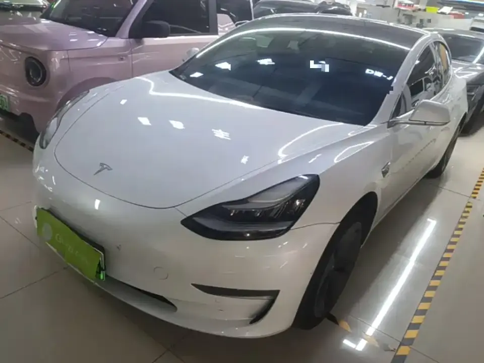 Tesla Model 3 (Import) Long Range RWD Version 2019