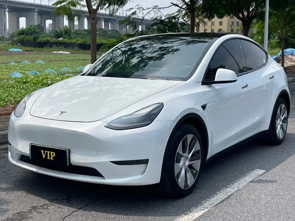 Tesla Model Y Model Long Range AWD 2021